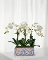 Winward Home Orchid 20" Faux Floral Arrangement In Longlife Porcelain Arranger In Two-tone White