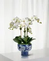 Winward Home Orchid 21" Faux Floral Arrangement In Porcelain Bowl In Two-tone White
