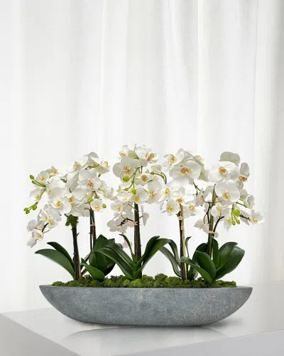 Winward Home Orchid 30" Faux Floral Arrangement In Fiberglass Boat In Multi