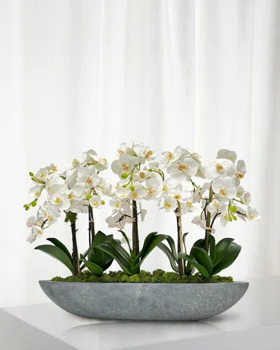 Winward Home Orchid 30" Faux Floral Arrangement In Fiberglass Boat In Two-tone White