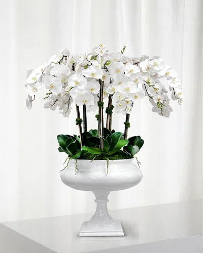 Winward Home Orchid 47" Faux Floral Arrangement In Footed Roman Planter In Silver