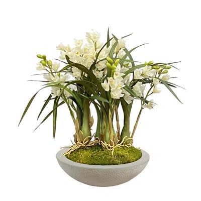 Winward Home Orchid Cymbidium In Planter