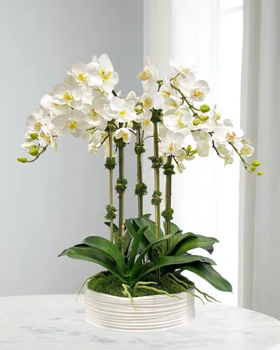 Winward Home Orchid Faux Floral Arrangement In Coil Bowl In White