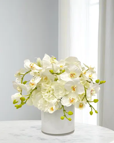 Winward Home Orchid Hydrangeas In Cylinder Vase In White