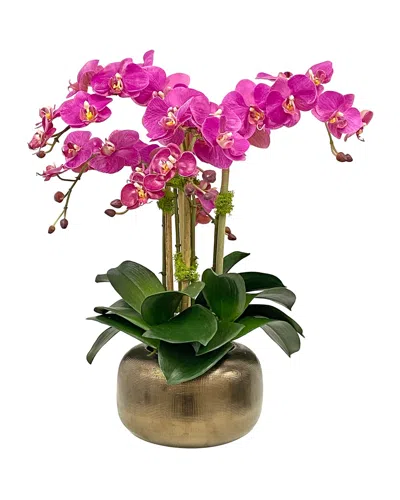 Winward Home Orchid In Artisanal Pot In Fuchsia