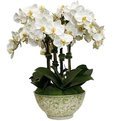 Winward Home Orchid In Bowl In White