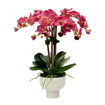 Winward Home Orchid In Bowl With Stand In Multi