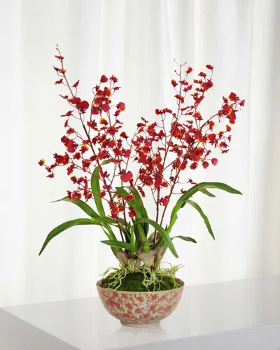 Winward Home Orchid In Longlife Bowl In Multi