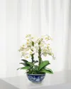 Winward Home Orchid In Longlife Bowl In White