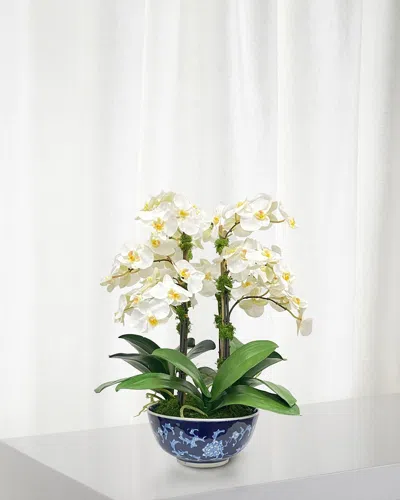 Winward Home Orchid In Longlife Bowl In Blue