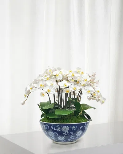 Winward Home Orchid In Longlife Bowl In Multi
