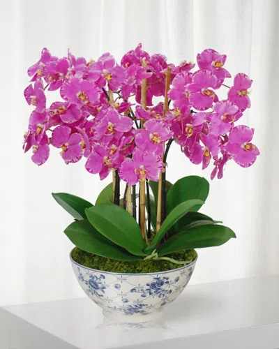 Winward Home Orchid In Rose Trellis Bowl In Fuchsia