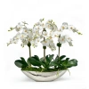 Winward Home Orchid In Vessel Container In White