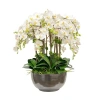 Winward Home Orchid Phalaenopsis In Bowl In White