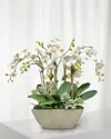 Winward Home Orchid Succulent 26" Faux Floral Arrangement In Fiberglass Planter In White