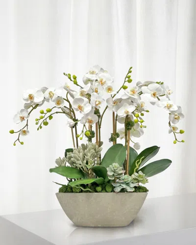 Winward Home Orchid Succulent 26" Faux Floral Arrangement In Fiberglass Planter In White