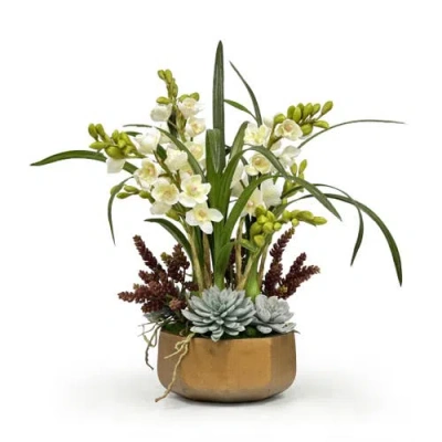 Winward Home Orchid Succulent In Golden Pot In Multi