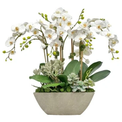 Winward Home Orchid Succulent In Planter In Brown