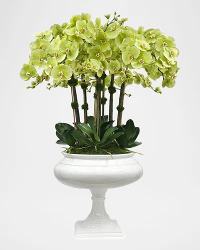 Winward Home Orchids 50" Faux Floral Arrangement In Resin Planter In Multi
