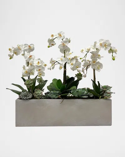 Winward Home Orchids & Succulents 30" Faux Floral Arrangement In Fiberglass Planter In Multi