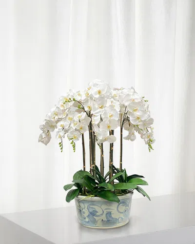 Winward Home Orchids In Ceramic Pot In White