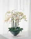 Winward Home Phalaenopsis In Glass Bowl In White