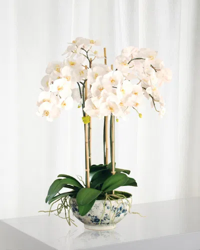 Winward Home Phalaenopsis In Rose Trellis Bowl In White