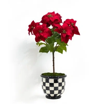 Winward Home Poinsettia In Checkerboard Bowl In Red