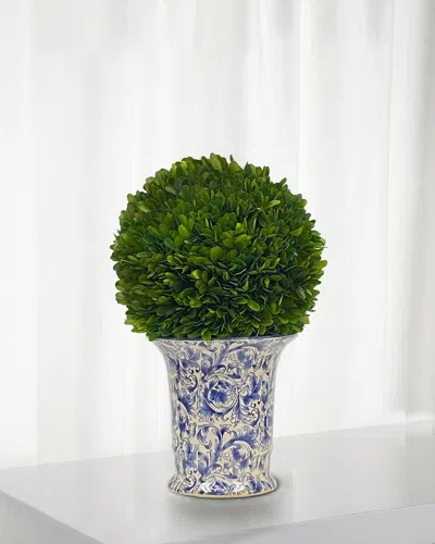 Winward Home Preserved Boxwood Ball In Porcelain Vase - 14" In Green