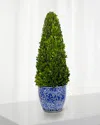 Winward Home Preserved Boxwood Cone Topiary In Porcelain Lotus Pot - 28" In Green