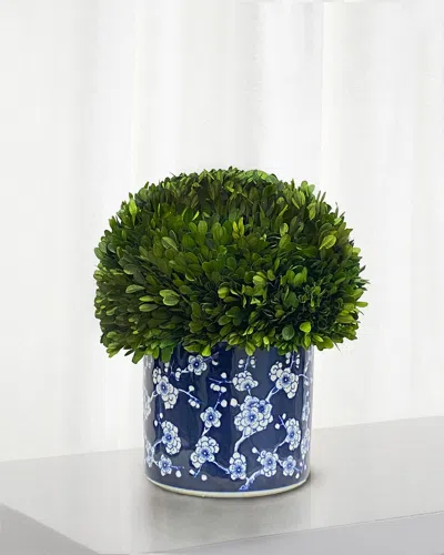 Winward Home Preserved Boxwood Half Ball Topiary In Porcelain Pot - 15" In Blue