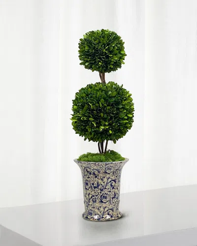 Winward Home Preserved Double Ball Topiary In Porcelain Vase - 25.5" In Green