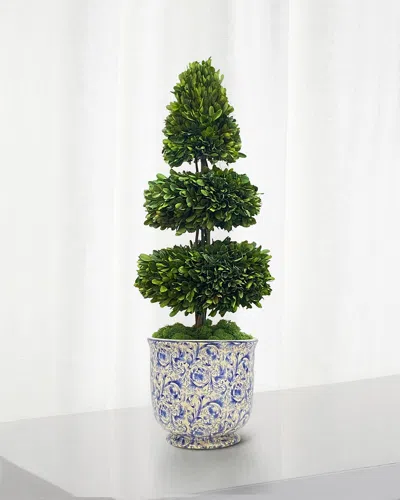 Winward Home Rodeo Boxwood Topiary In Green