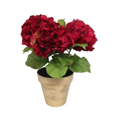 Winward Home Small Hydrangea In Pot In Red