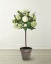 Winward Home Snowball Flower Tree In Pot In Green/white