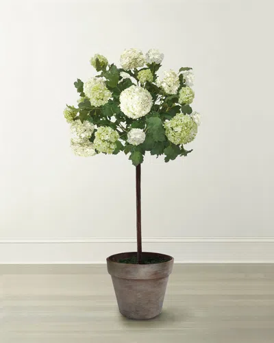 Winward Home Snowball Flower Tree In Pot In Green