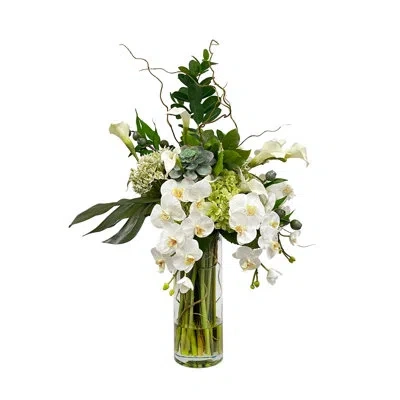 Winward Home Split Philo Orchid In Vase In White
