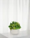 Winward Home Everyday Tall Garden Planter Succulent In Green/taupe