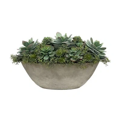 Winward Home Succulent In Oval Planter In Green