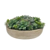 Winward Home Succulent Mix In Round Bowl In Brown
