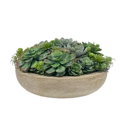 Winward Home Succulent Mix In Round Bowl In Brown
