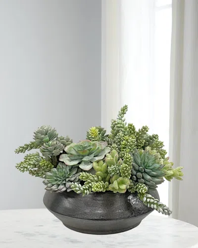Winward Home Succulents In Planter In Green