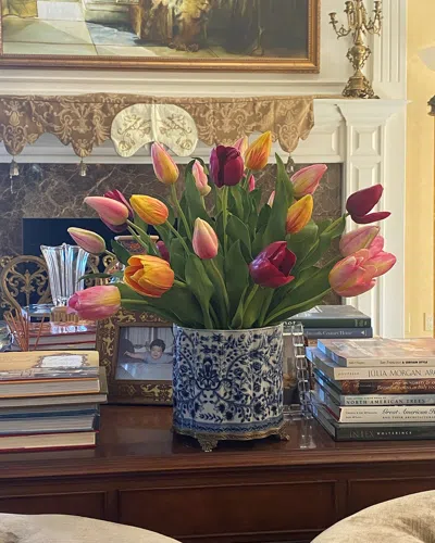 Winward Home Tulips In Pot In Multi