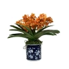 Winward Home Vanda Orchid In Blossom Pot In Gold