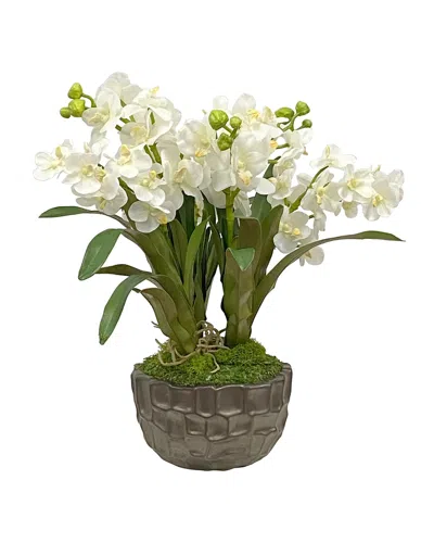 Winward Home Vanda Orchid In Bowl In White