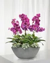 Winward Home Vanda Orchid In Oval Planter, 30.5" In Pink