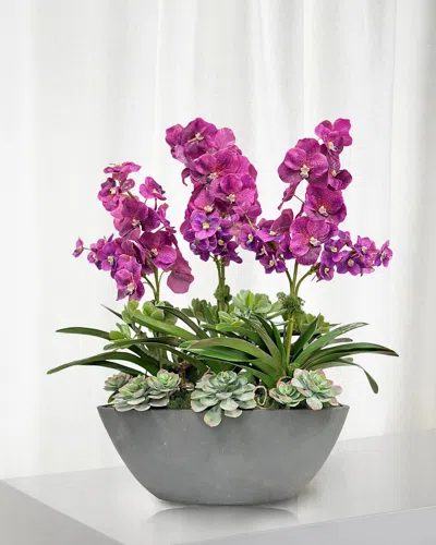 Winward Home Vanda Orchid In Oval Planter, 30.5" In Pink