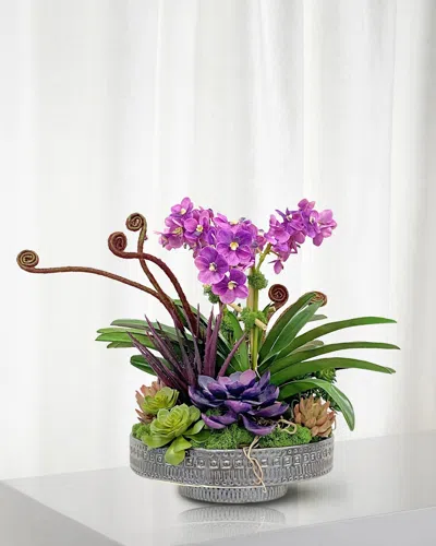 Winward Home Vanda Orchid Succulent 19" Faux Floral Arrangement In Terracotta Planter In Purple/green