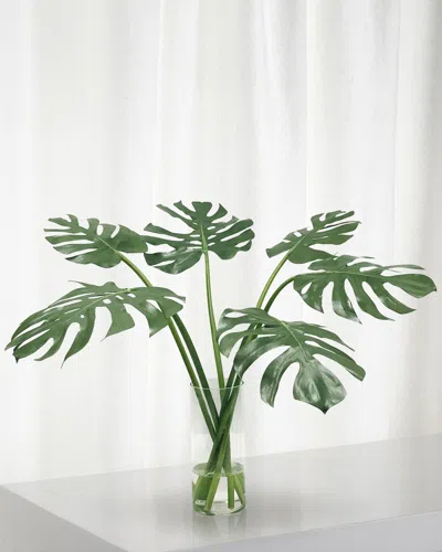 Winward Monstera In Cylinder Vase