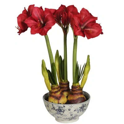 Winward Silks Amaryllis In Ceramic Bowl In Red